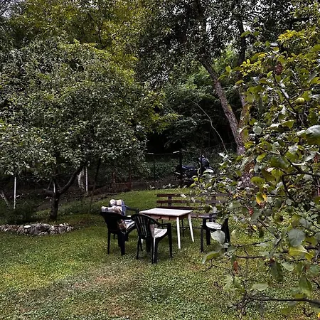 Holiday M Apartment Tuzla