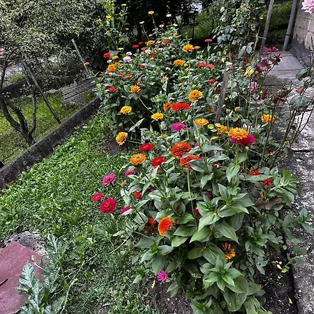 Holiday M Apartment Tuzla